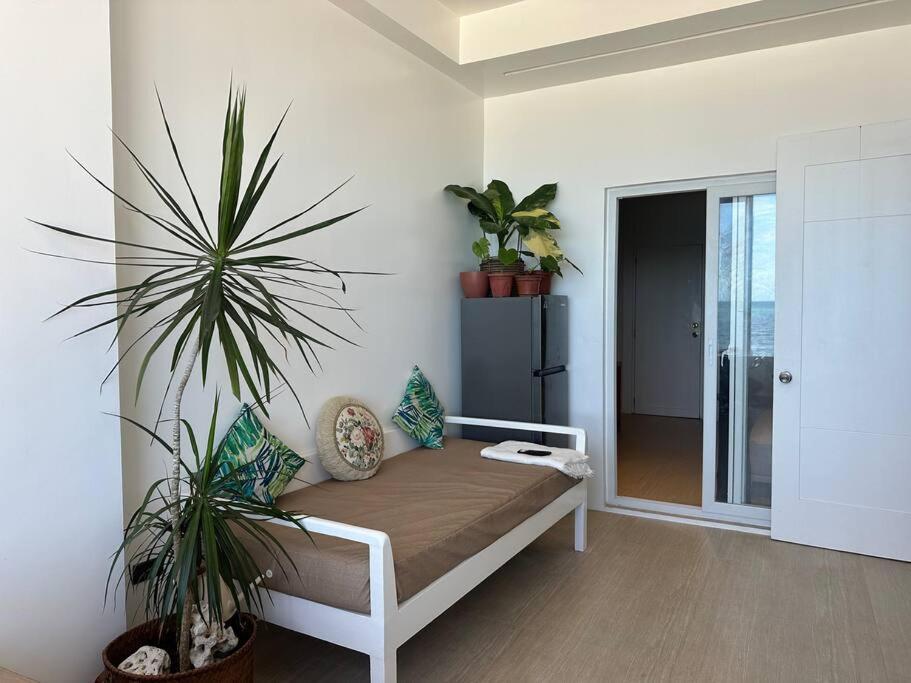 Apartment Absolute Beachfront With Kitchen